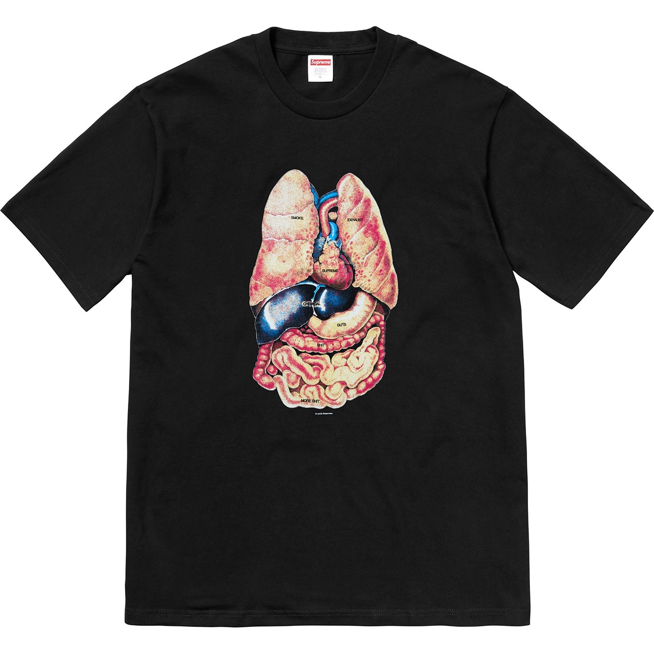 Guts Tee view 8
